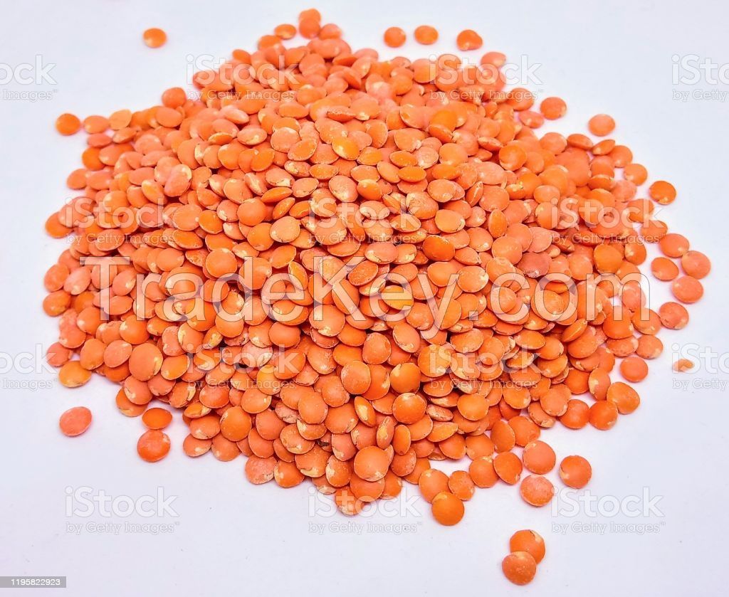 Red Lentils/Green lentils