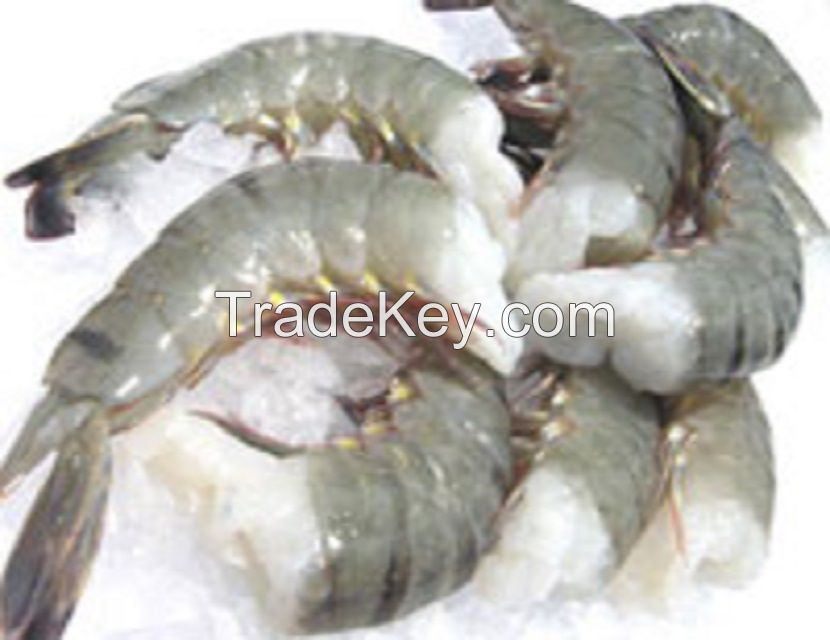Quality King Prawns , White Shrimps , Black Tiger Shrimps Available for sale