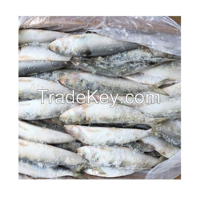 wholesale frozen seafood ocean fish sardines