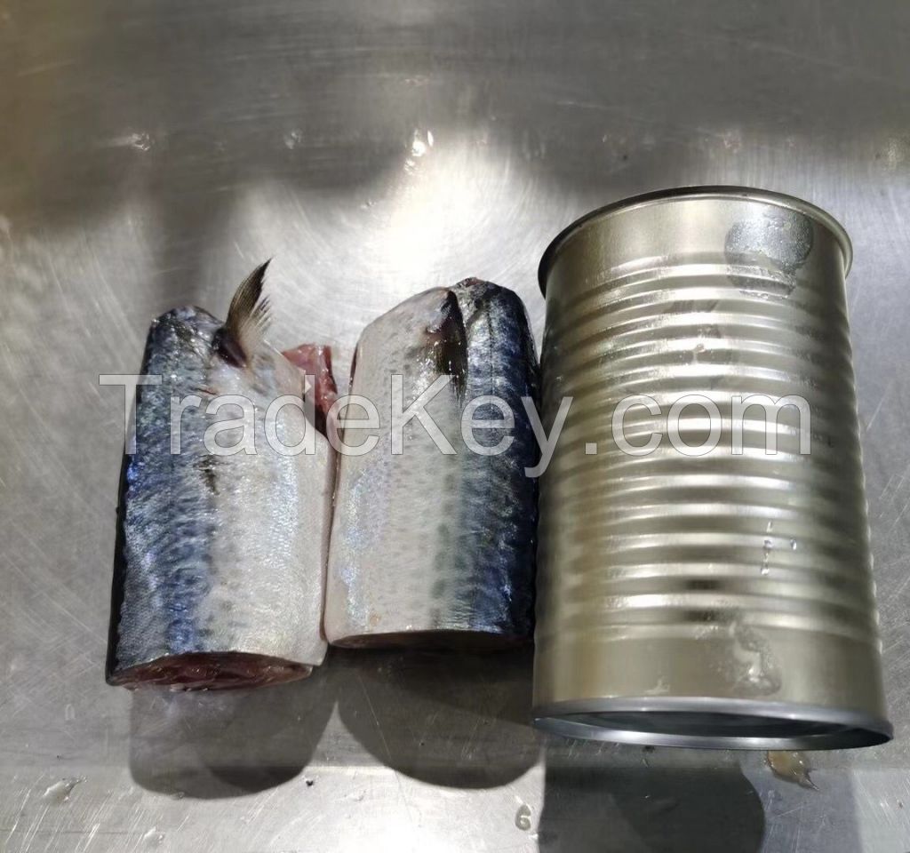 Jack Mackerel Canned