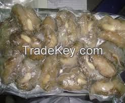 Frozen Abalone for  sale