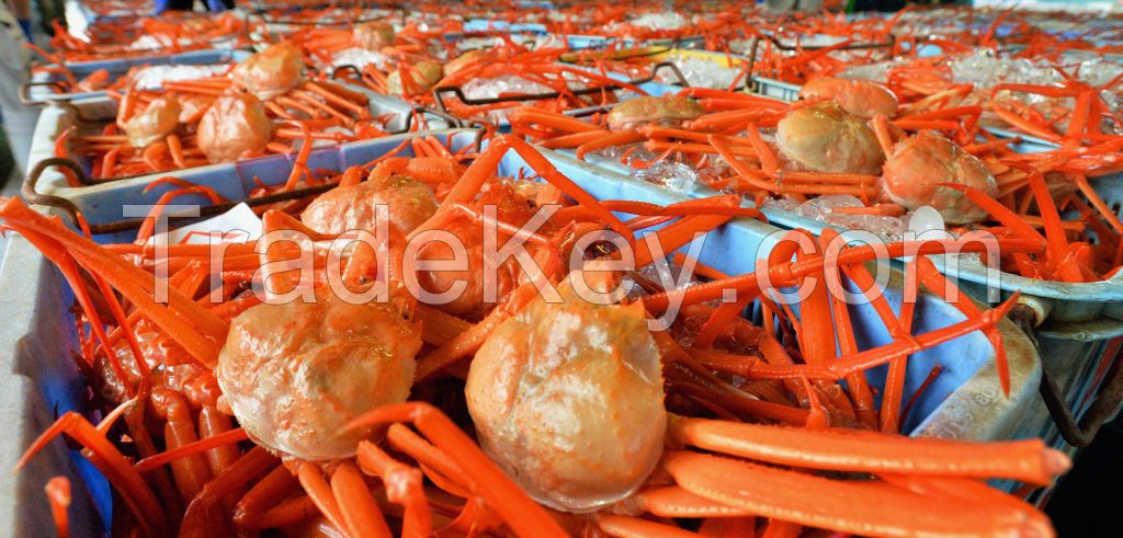Snow crab whole and legs