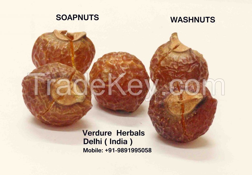 Soapnuts