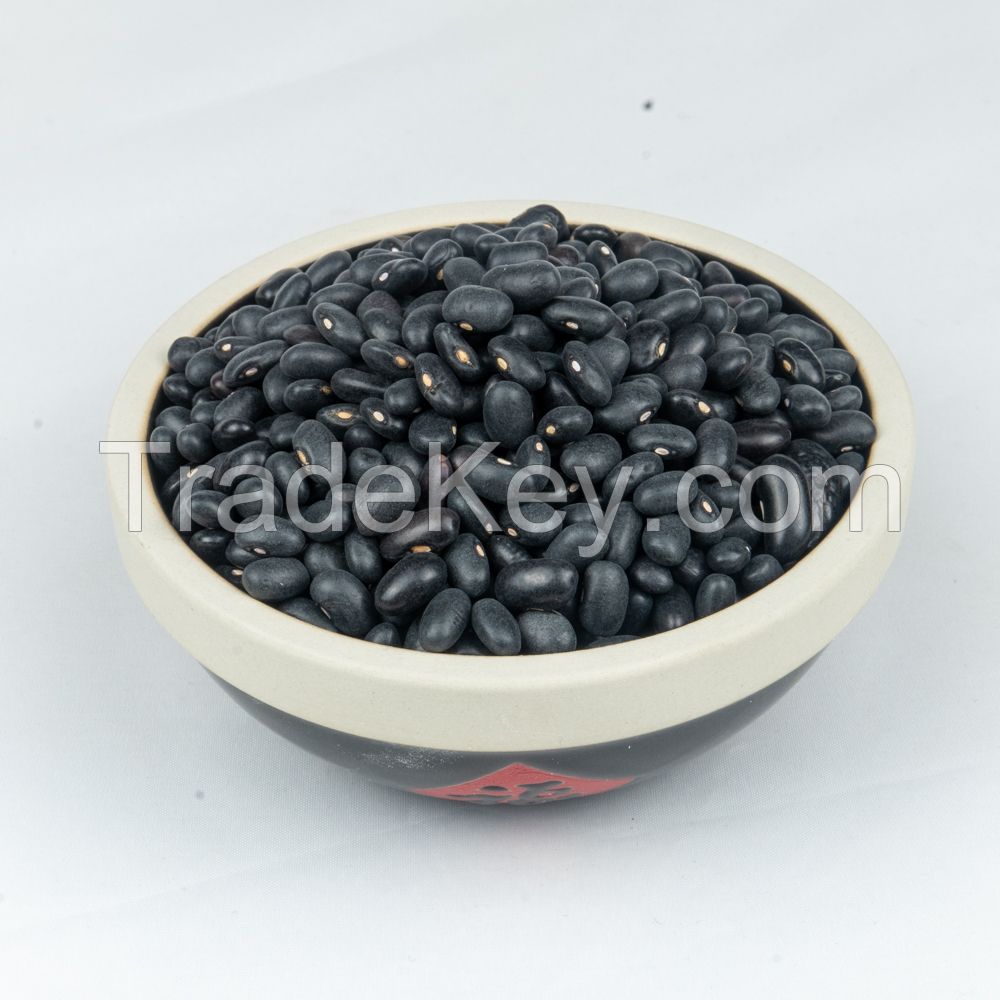 BLACK KIDNEY BEANS