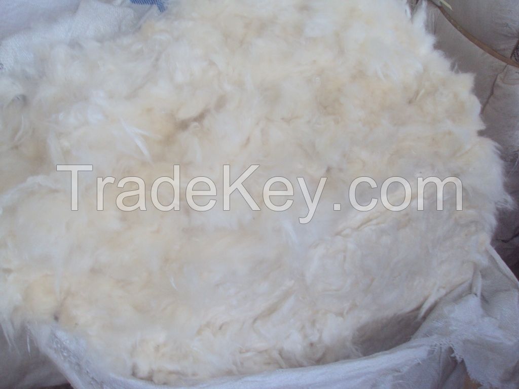 Sell FInest Kapok Fiber