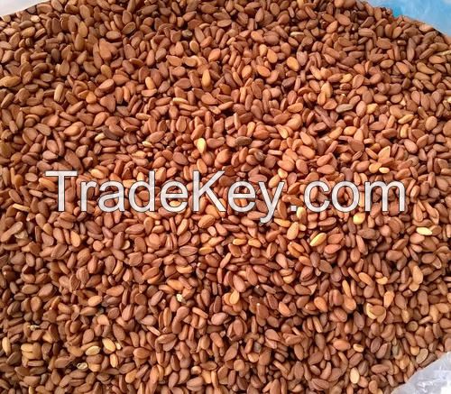 Red Sesame Seeds