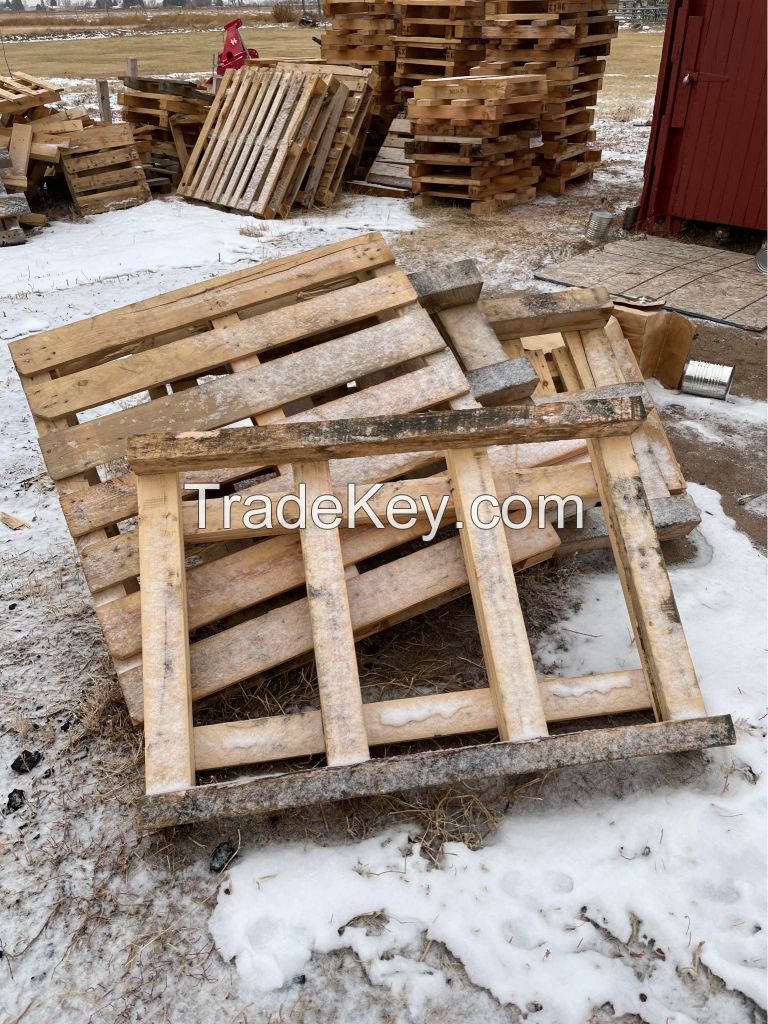 New Epal/Euro Wood Pallets Pine wood Available