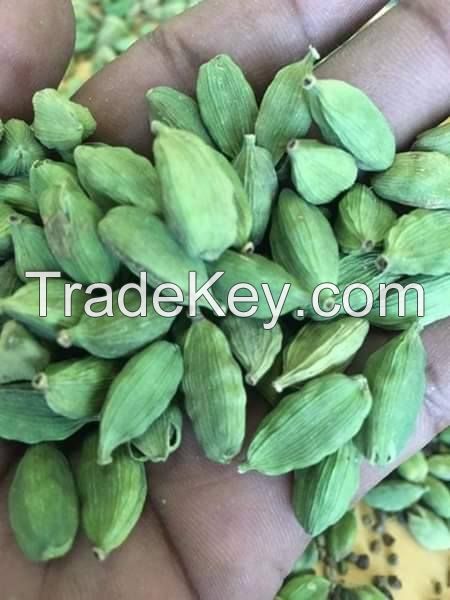 GREEN CARDAMOM AND OTHER SEEDS