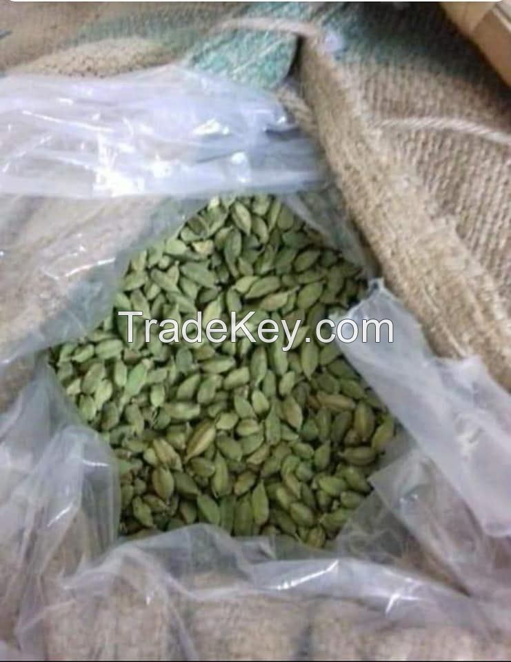 VEGETABLE SEED AND OIL SEEDS AVAILABLE