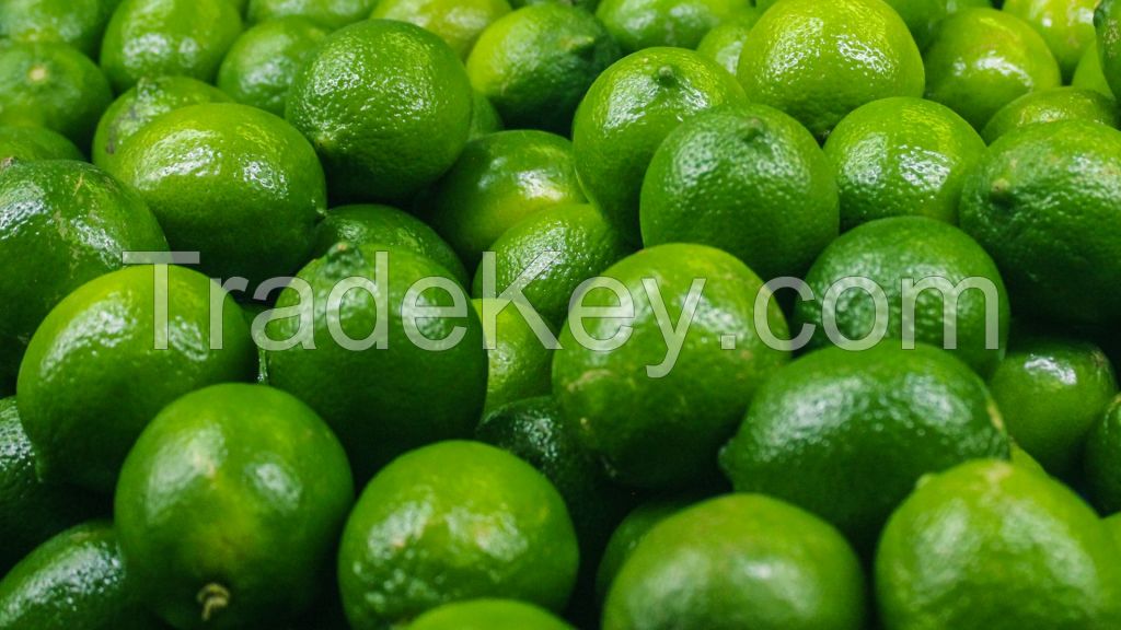 Mexican Persian Lemons