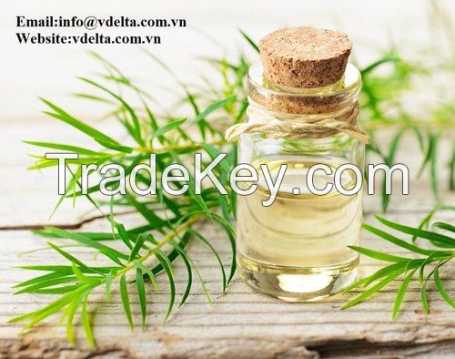 Tea Tree Oil