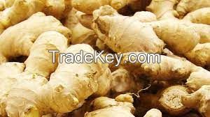 dry ginger