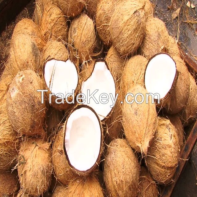 Whole Coconut And By Products
