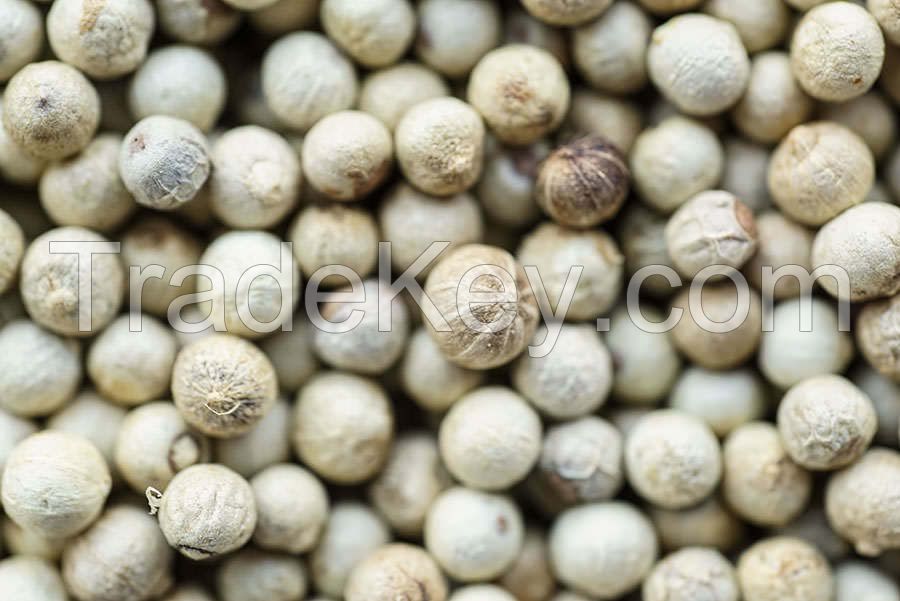 White Pepper