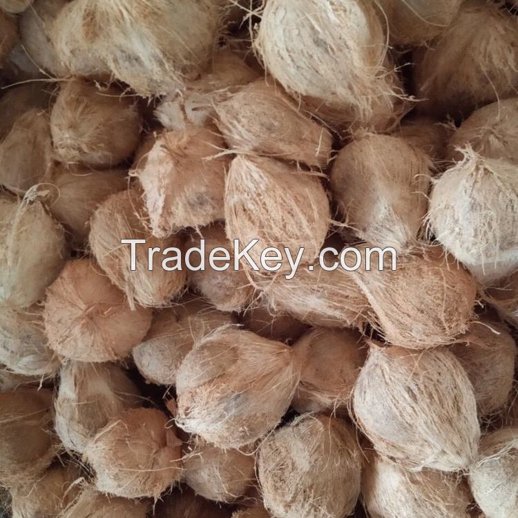 Wholesale Indonesia Semi Husked Fresh Mature Coconut