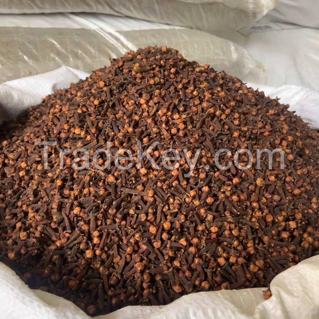 High Quality Cloves/Cloves Spices/Indonesian Cloves