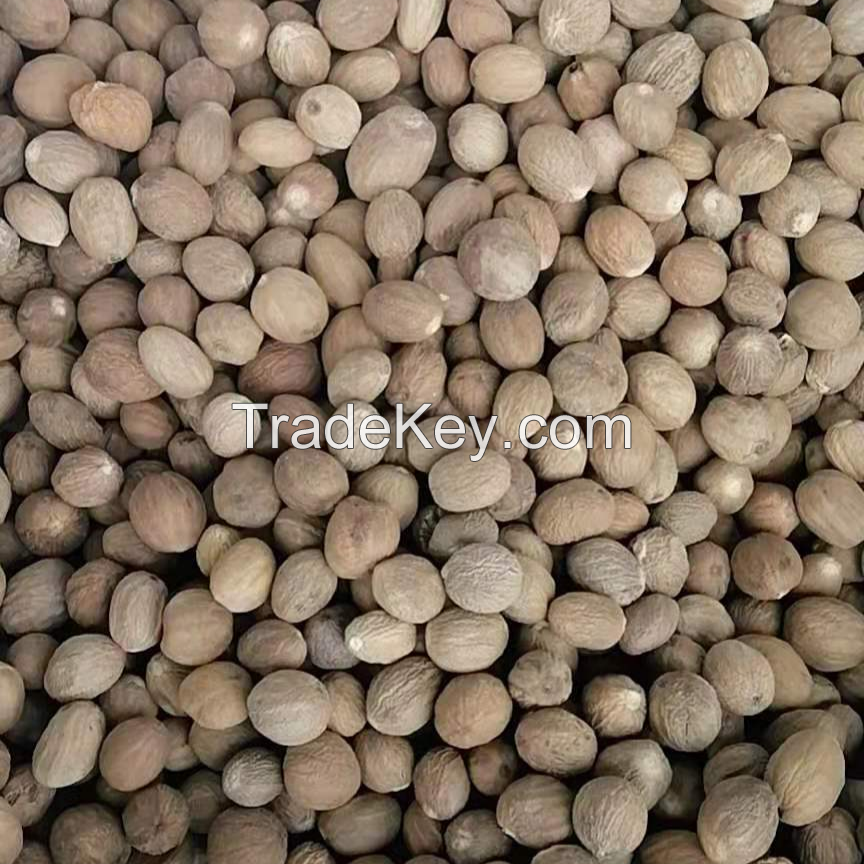 Nutmeg Seed & Powder