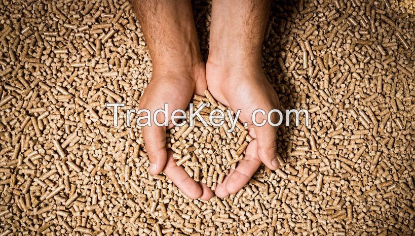 Wood Pellets for Fireplaces