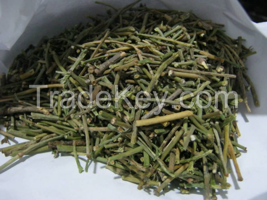 Natural Chinese Ephedra Herb Extract/ Ephedra Herba Extract Powder for Lower Blood Pressure