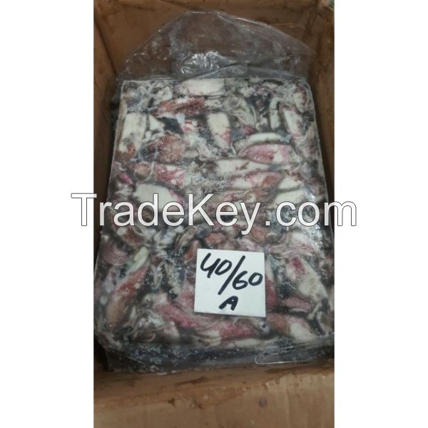 Frozen loligo squid - best deals on squids