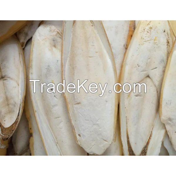 Cuttlefish Bone For Sale