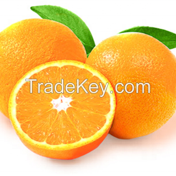 Fresh Oranges