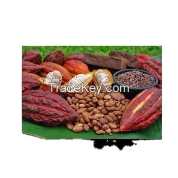 Cocoa Beans