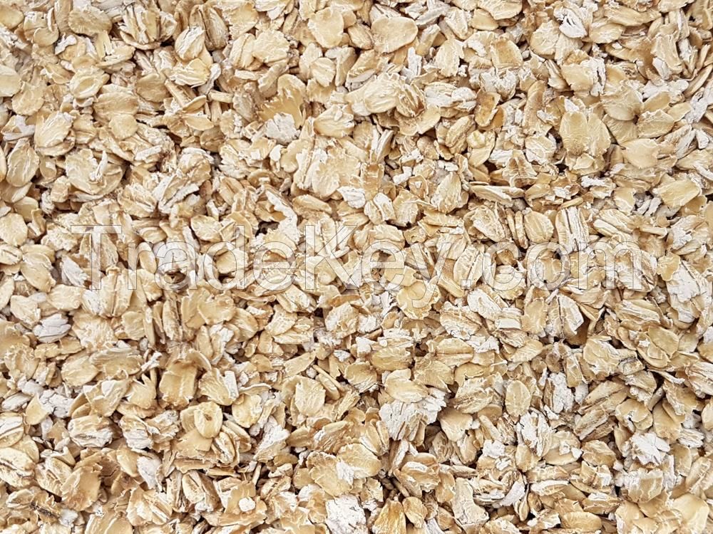 best price super quality whole sale jumbo oats bulk