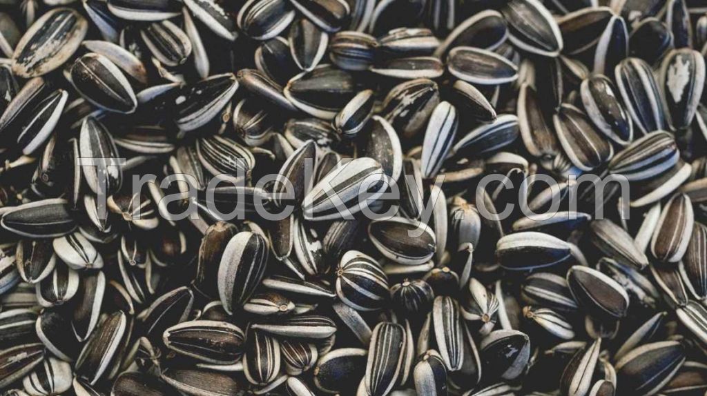 New Crop 2021 Sunflower Seed Kernels Wholesale Price Black Sunflower Seeds