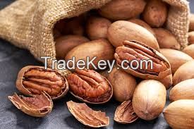 whole sale Pecan Nuts