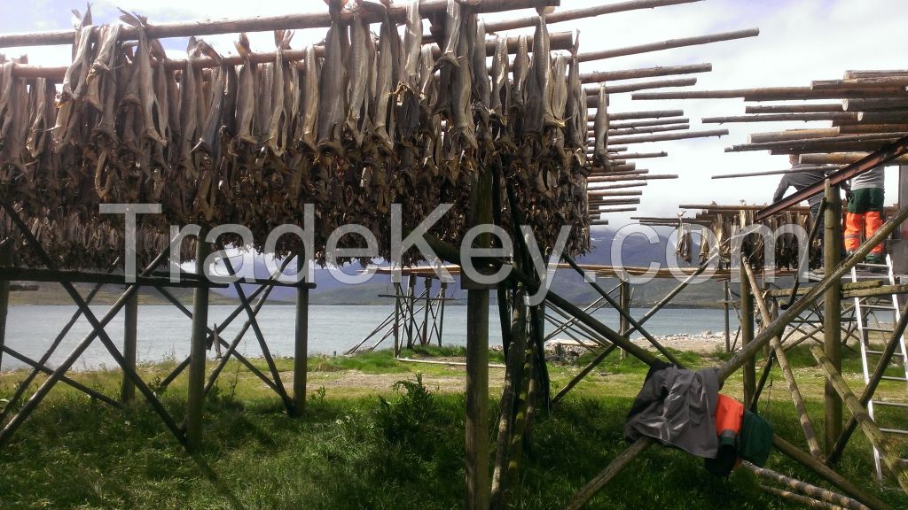 Stockfish