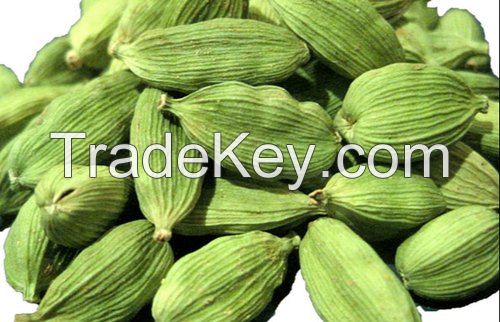 green cardamom