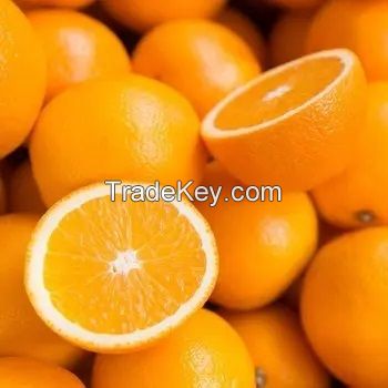 Fresh Citrus Valencia Oranges