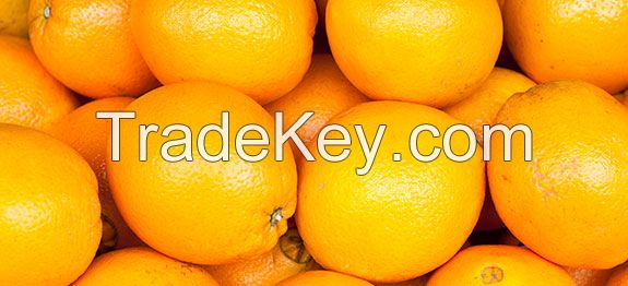 Fresh Citrus Navel Oranges