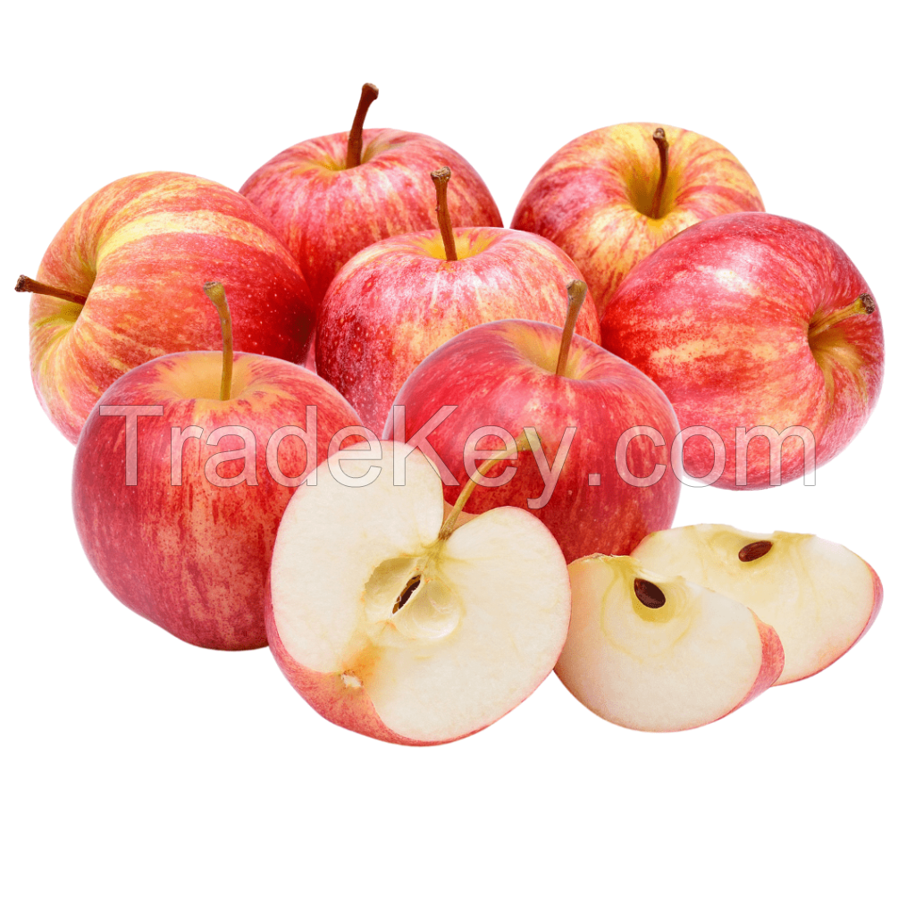 Fresh Royal Gala Apple