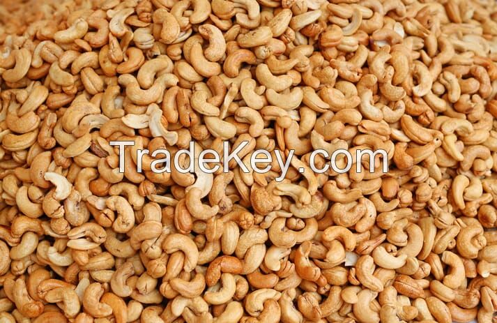 Cashew Nut