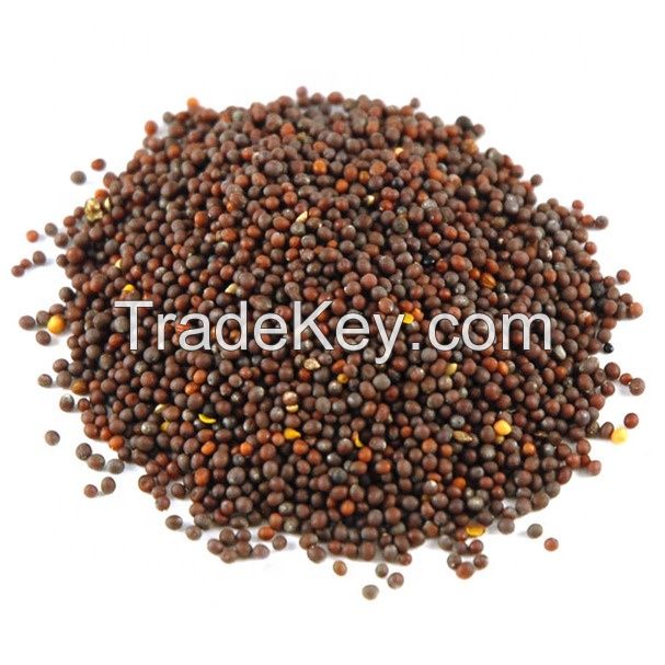 MUSTARD SEEDS