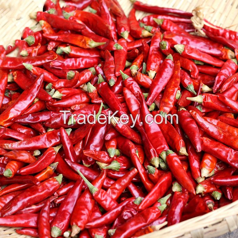 Good Price Chinese Wholesale specification Dry Pepper Red hot slimming Dried Chili