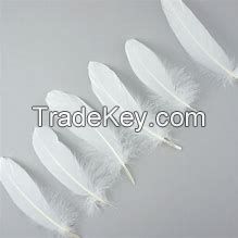 2020 Wholesale Top Quality So Soft plumas ganso Washed White Goose Down Quilt Goose Feather
