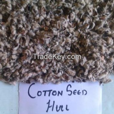 Premium Quality Cotton seed hulls Price