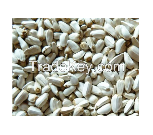 Natural Safflower Seeds