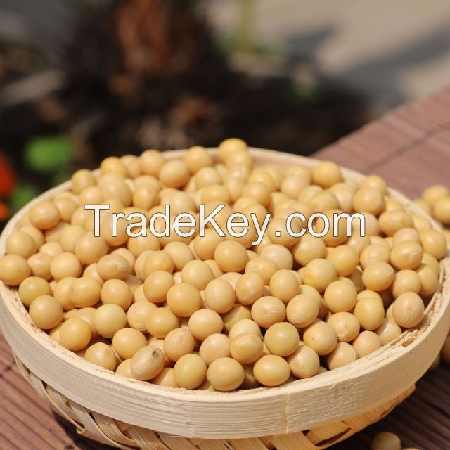 NON-GMO yellow Soybean / soya bean for oil/tofu/animal feeds