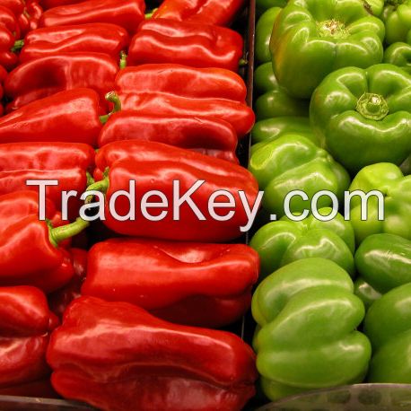 Fresh capsicum pepper