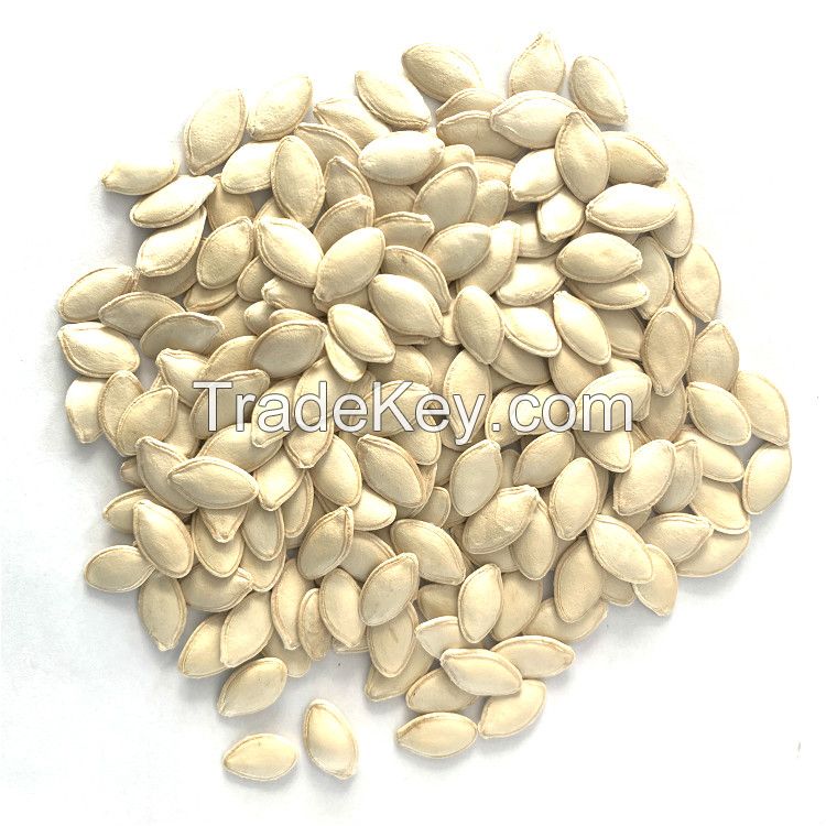 new crop Best price Organic GWS pumpkin seeds kernels wholesale
