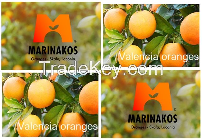 ORDER Valencia Oranges from Skala Laconia Greece
