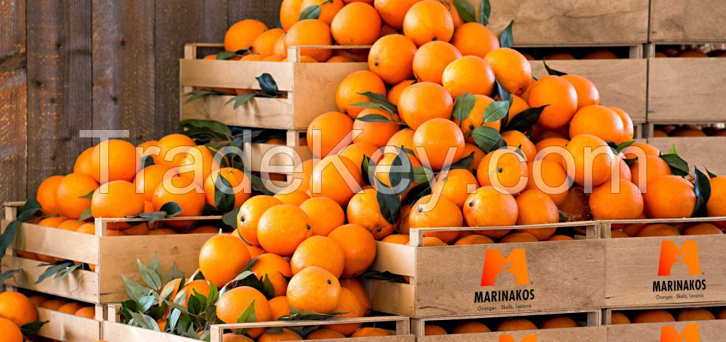We SELL Valencia Oranges from Skala Laconia Greece