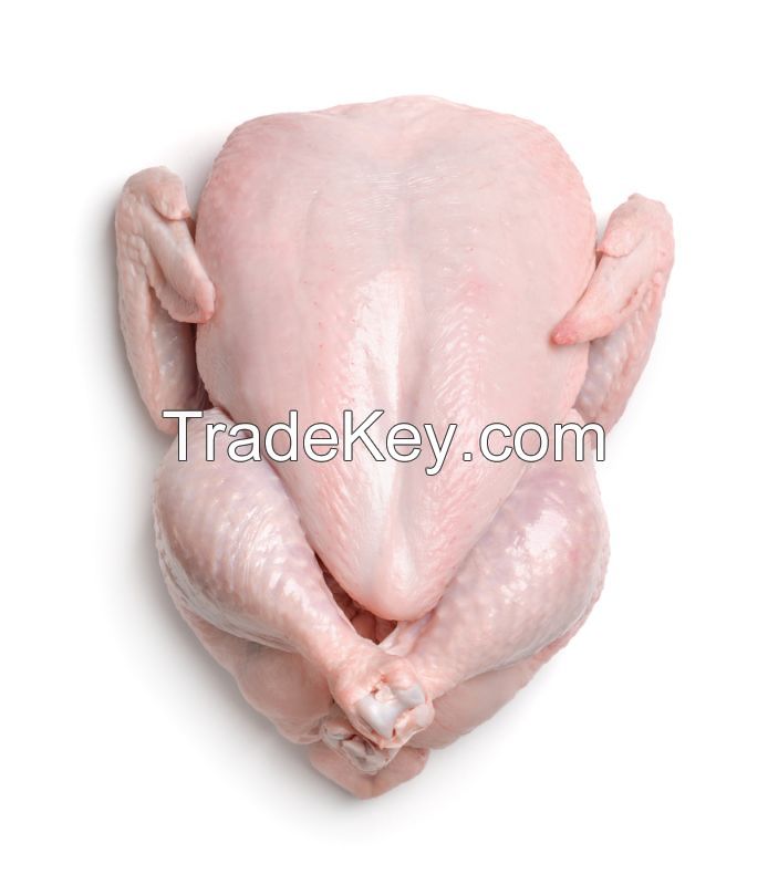 EXPORT GRADE HALAL FROZEN WHOLE CHICKEN CHICKEN FEET CHICKEN PAW