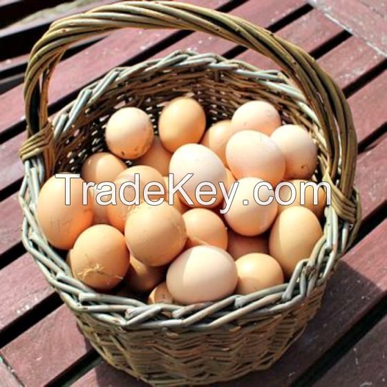 Fresh Chicken Table Eggs for Sale