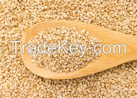 Rich in Lots of Fat Protein Thailand A and E Organic Pure Natural White Sesame Seeds