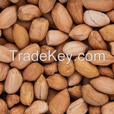 Grade A PEANUT FOR SALE / Peanuts/Groundnut - JAVA 50-60 COUNT